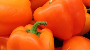 Légume Congelé