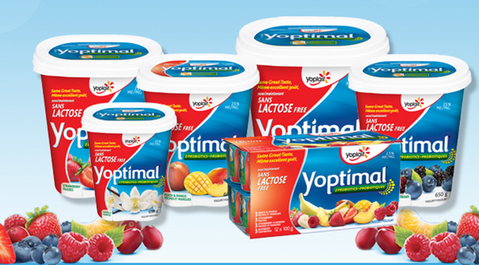 Yoptimal gratuit